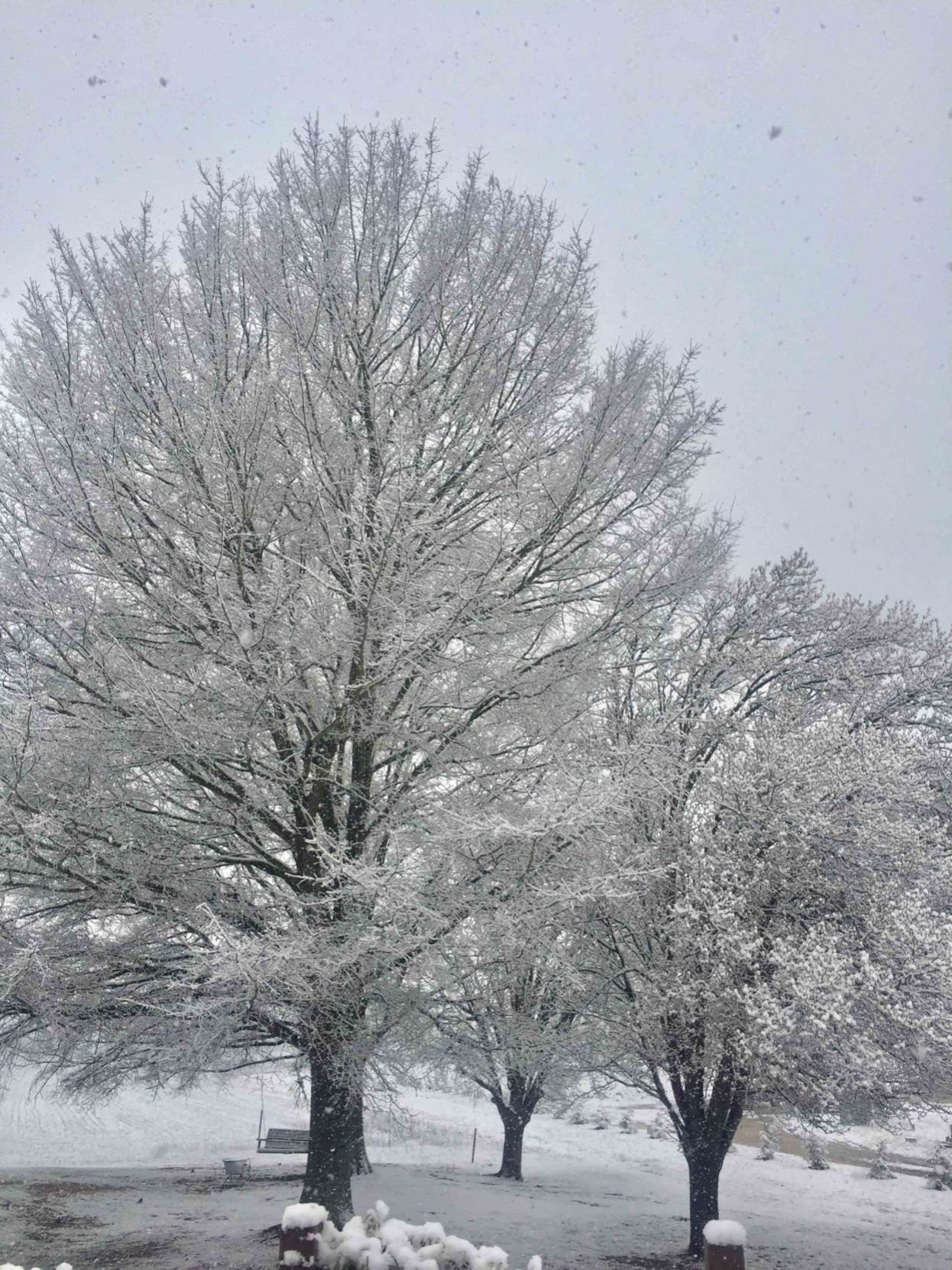 Snow